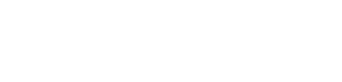 unizox.com